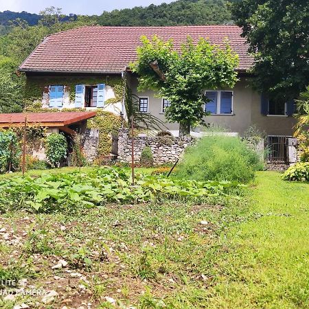 Chindrieux Du Vent Dans Les Arbres -120M2 Belle Vue Sur Le Lac מראה חיצוני תמונה