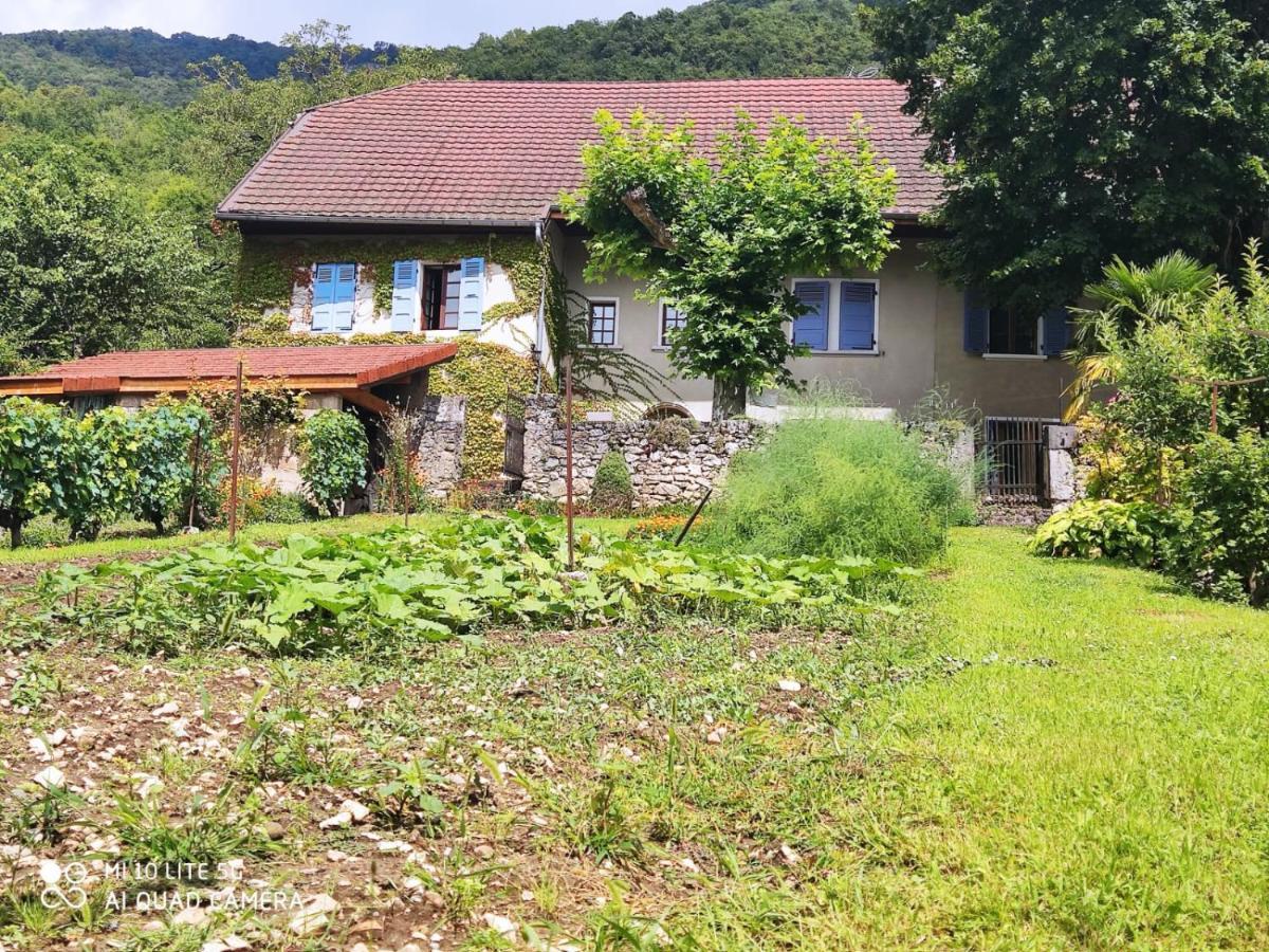 Chindrieux Du Vent Dans Les Arbres -120M2 Belle Vue Sur Le Lac מראה חיצוני תמונה