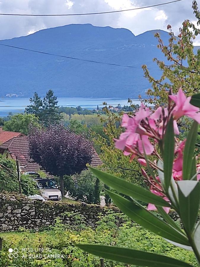 Chindrieux Du Vent Dans Les Arbres -120M2 Belle Vue Sur Le Lac מראה חיצוני תמונה
