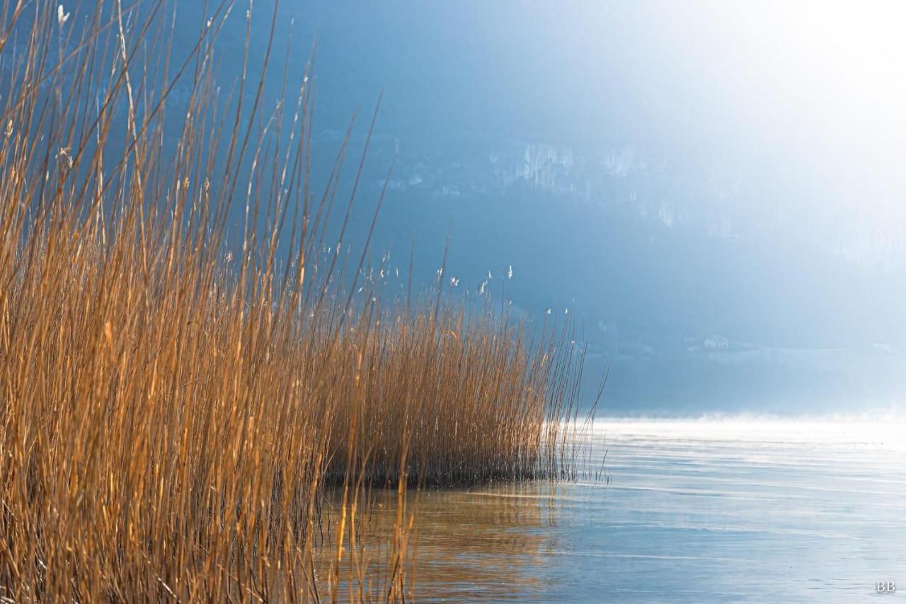 Chindrieux Du Vent Dans Les Arbres -120M2 Belle Vue Sur Le Lac מראה חיצוני תמונה